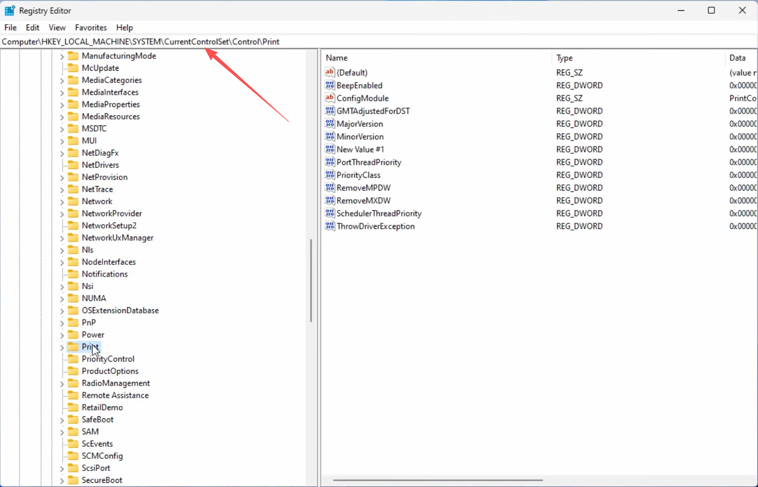 Registry Editor navigated to the Control\\Print key